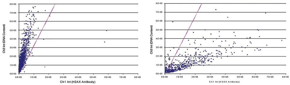 図3. 図2に示した陰性（左）と陽性（右）のコントロールウェル画像のデータのセルごとの散布図。マゼンタの線は、DNA損傷の自動定量に使用したCh3/Ch1基準を示す。陰性対照は1.9％、陽性対照は88.5％であった。
