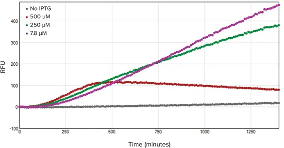 図3. 蛍光カイネティックのトレース。蛍光はOD600測定と同時に記録した（n=3）。500 µM IPTG処理ウェルを除き、蛍光出力はすべての濃度範囲で比較的類似していた。