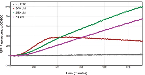 図5. RFP/OD600比。細胞密度に対する蛍光の比率は、蛍光値をOD600値で割って算出した。細胞密度に対する蛍光を正規化した結果、250 µM IPTG処理菌（緑）が細胞あたり最も高いRFP濃度を示した。