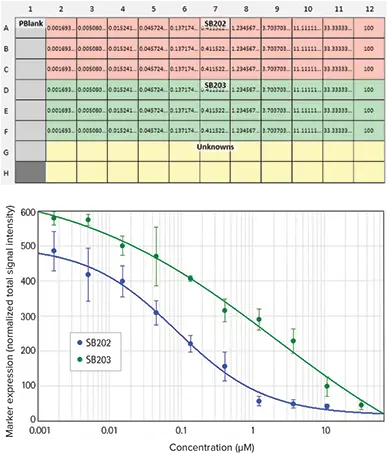 図3. マーカー発現結果の解析。上：プレートテンプレートの注釈付きウェル。下： 平均マーカー発現量と化合物濃度のプロット。抗炎症化合物の濃度が高くなるにつれて、サイトカイン刺激によるVCAM-1発現量は減少する。正規化された全シグナル強度は、多くのカーブフィット処理オプションの一つでプロットすることができ、IC50濃度を決定することができる。SB202 IC50= 0.1 µM、SB203 IC50=1.8 µM。