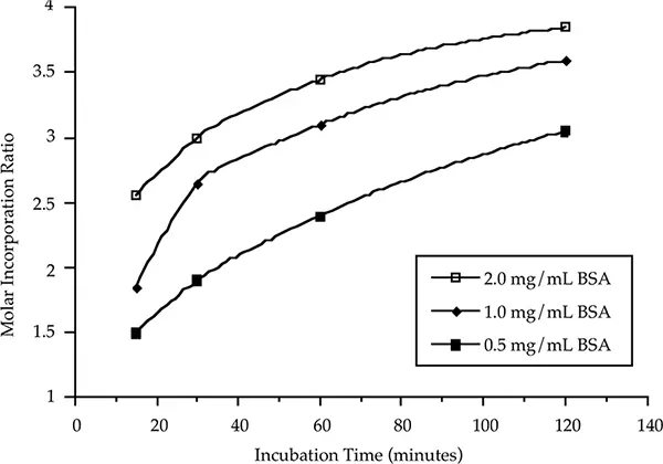 図3：反応時間とウシ血清アルブミン濃度がモル導入に及ぼす影響。