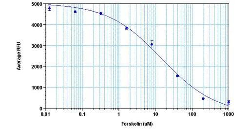 HEK293セルにおけるフォルスコリンの用量反応