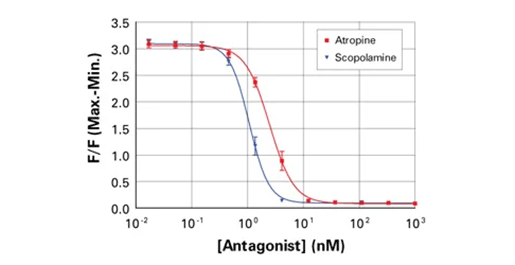 FLIPRカルシウム5アッセイキットによる拮抗作用データ