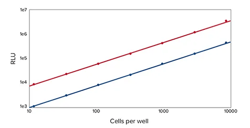 トランスフェクタントHeLa細胞数との直線相関